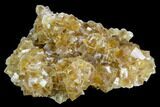 Lustrous Yellow Calcite Crystal Cluster - Fluorescent! #125168-1
